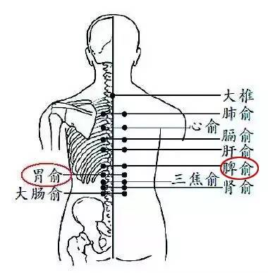 如果孩子心情好,愿意配合的话,按摩后,拿脾腧和胃腧,具体方法如下